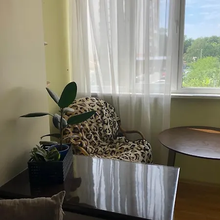 Viliamsa 1 Апартаменти *